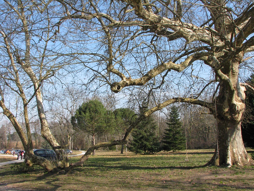 Annexe La Brède red red- Copie.jpg