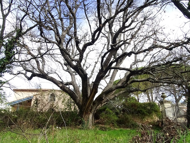 Annexe Puyricard red red red - Copie.jpg