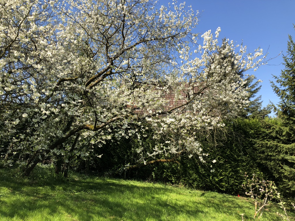 Annexe UNADJUSTEDNONRAW_thumb_9460.jpg