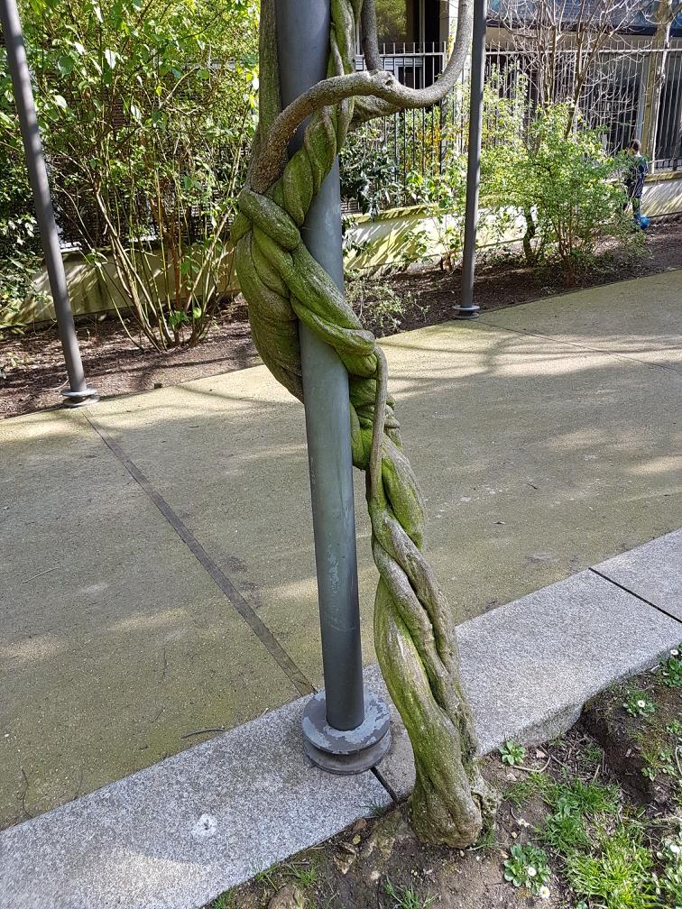 Annexe Resized_2018-04-20_07_15_29.jpeg