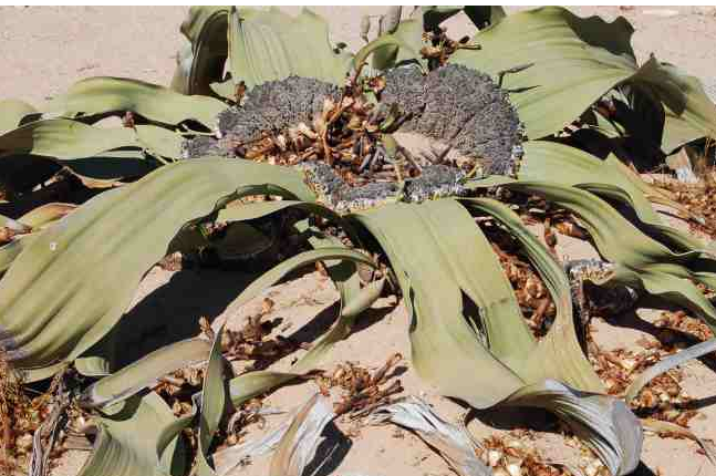 Annexe Capture d’écran 2018-04-21 à 19.08.43.png