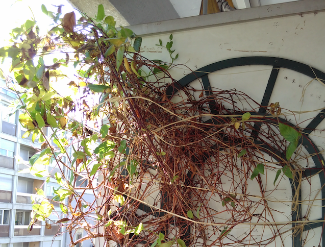 Annexe Capture d’écran 2018-04-22 à 19.33.59.png