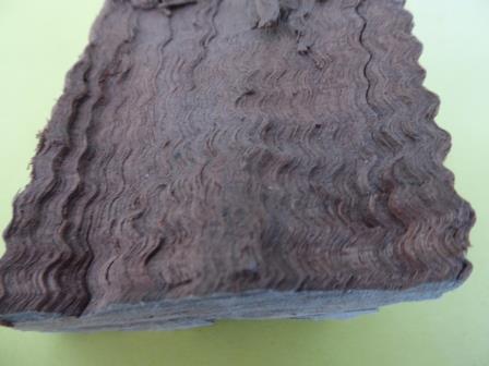 Annexe Sapelli ondé.JPG