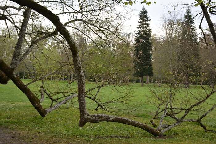 Annexe Cheverny2.jpg