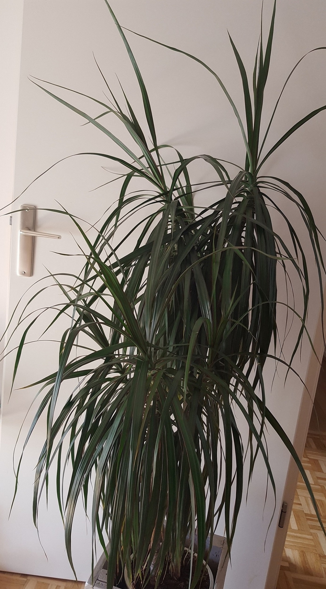 Annexe 20180426_100151.jpg