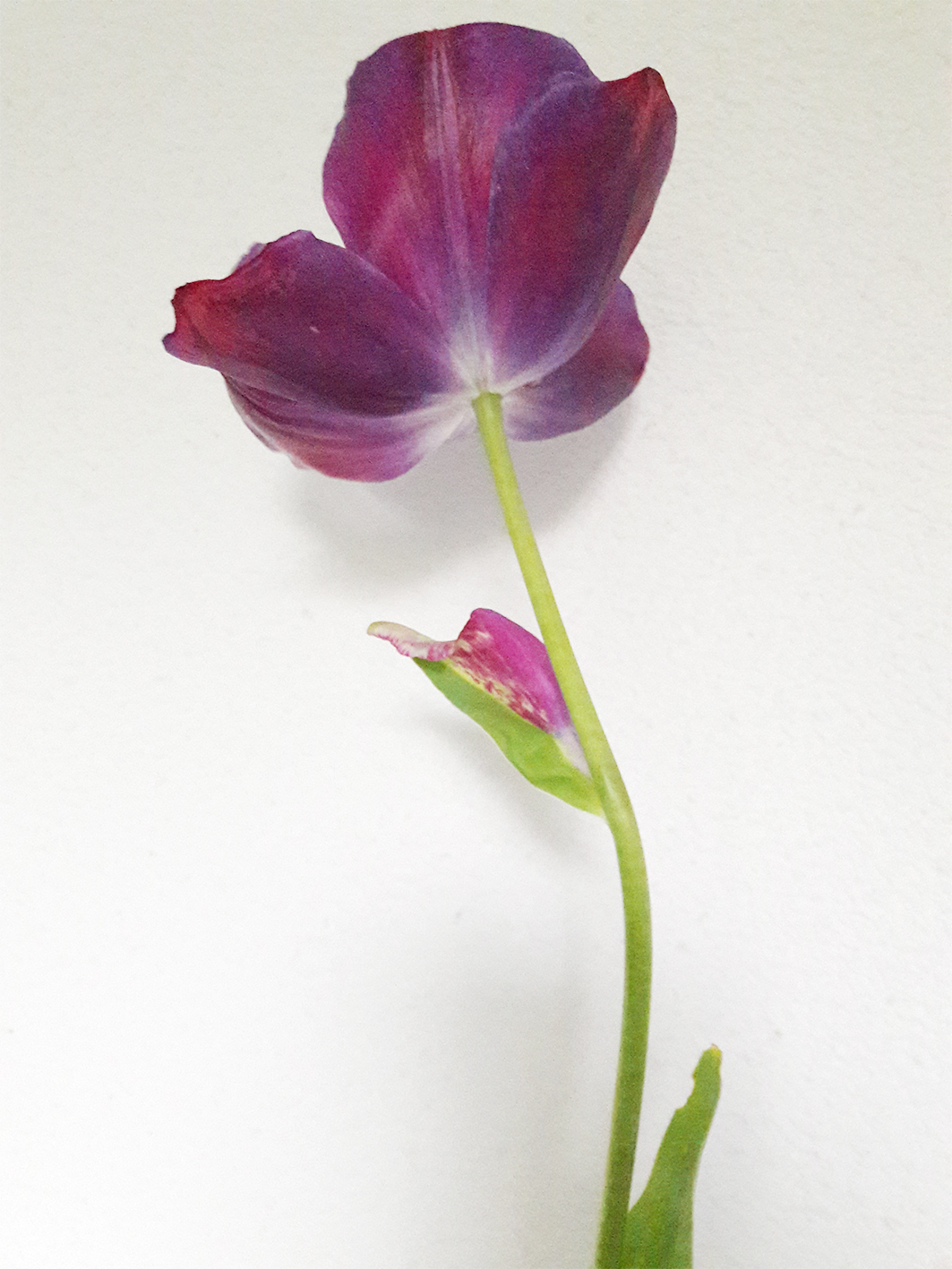 Annexe 20180420_072009.jpg