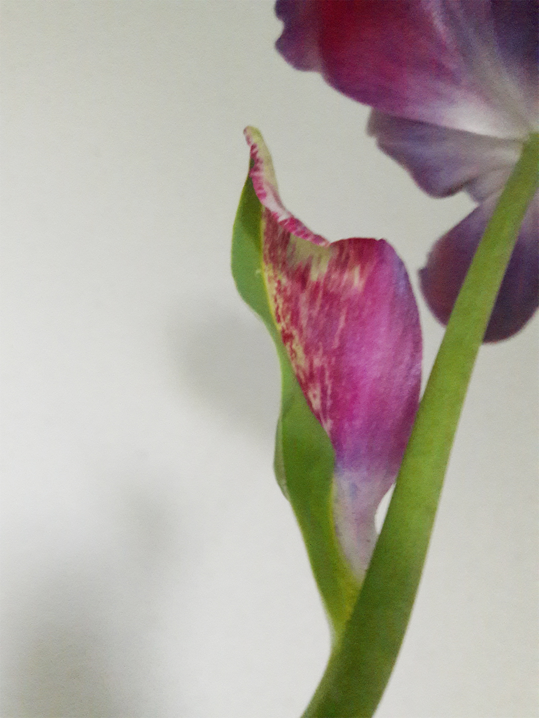 Annexe 20180420_072023.jpg