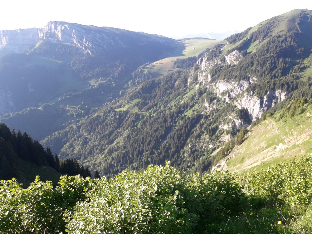 Annexe Aulne vert.jpg