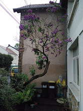 Annexe IMG_20180430_192530.jpg