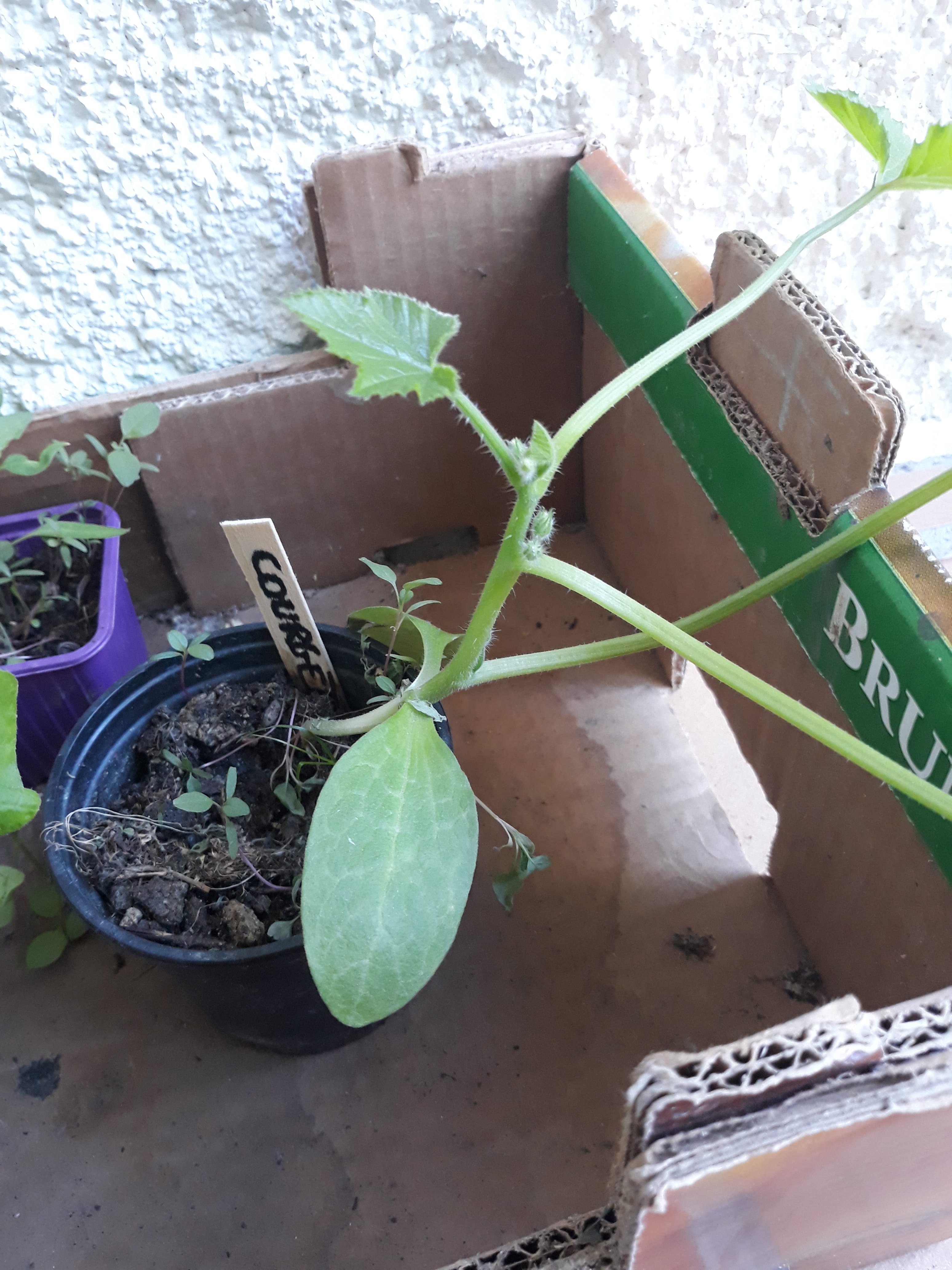 Annexe 20180502_162109-min.jpg