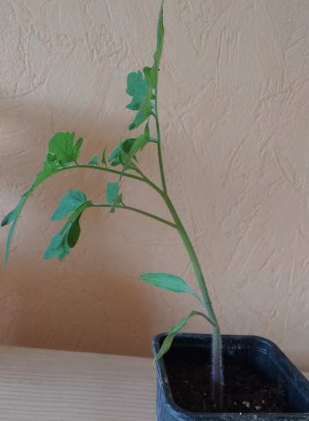 Annexe Capture d’écran 2018-05-04 à 22.15.30.png