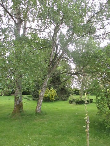 Annexe IMG_4654 bis.jpg