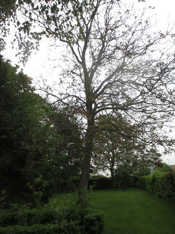 Annexe IMG_4655bis.jpg