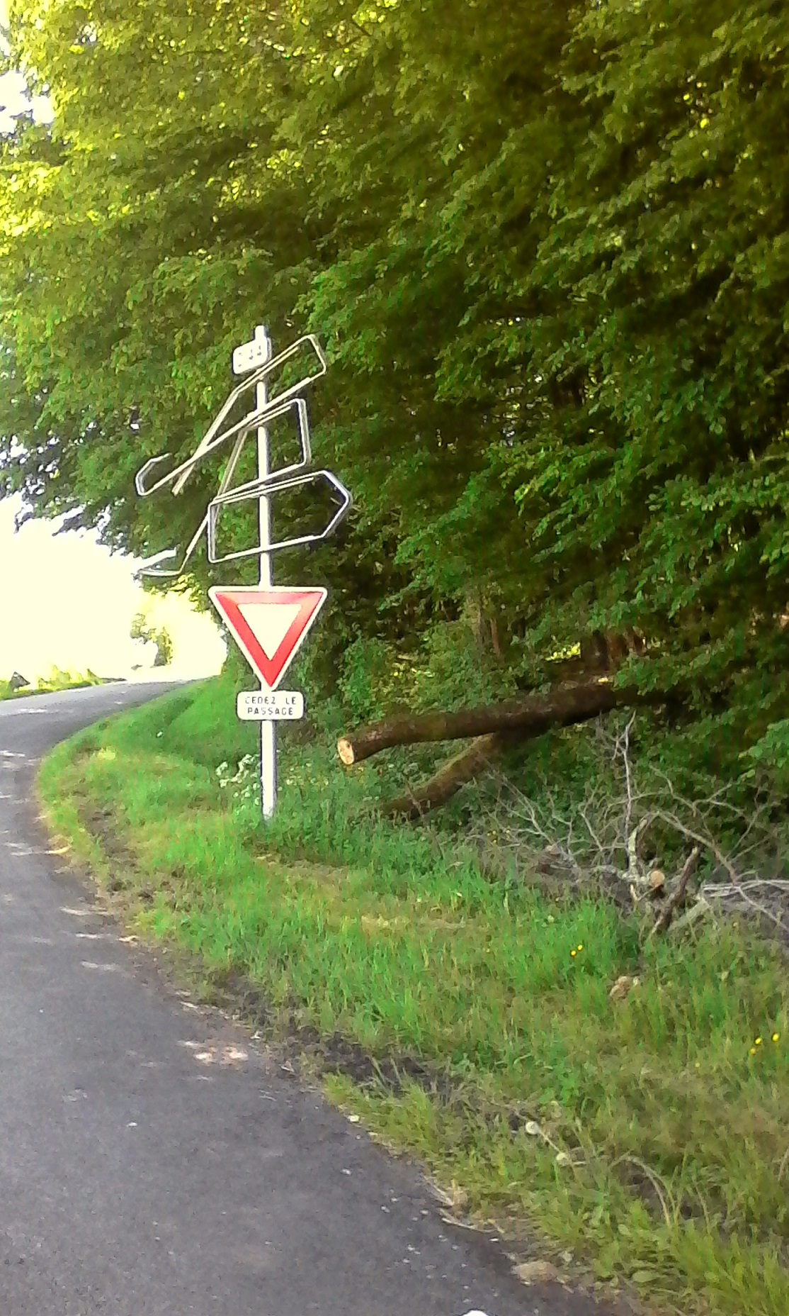 Annexe 3-Clin doeil.jpg