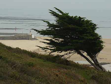 Annexe anemomorphisme2.jpg