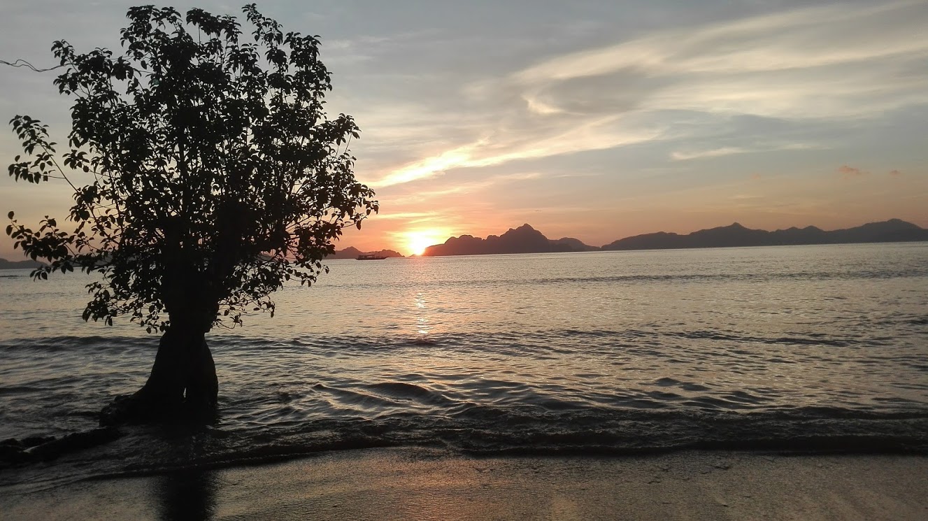 Annexe IMG_20180224_180805.jpg