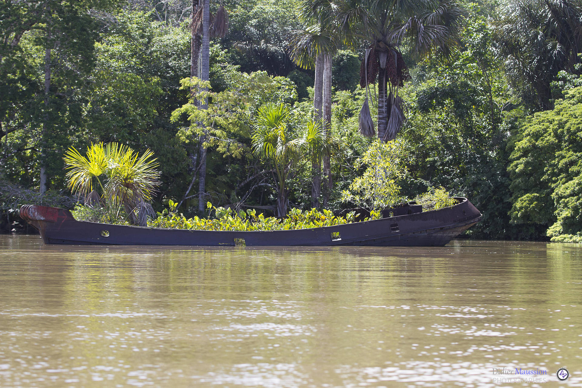 petit ile dans un bateau