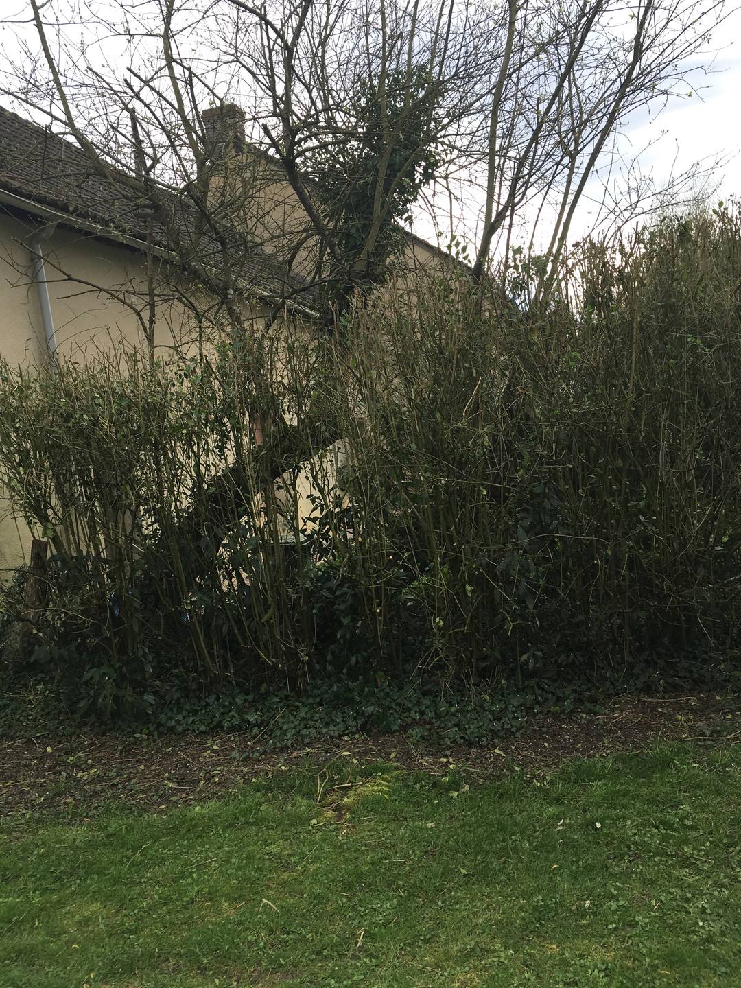 Il n'aime pas la maison