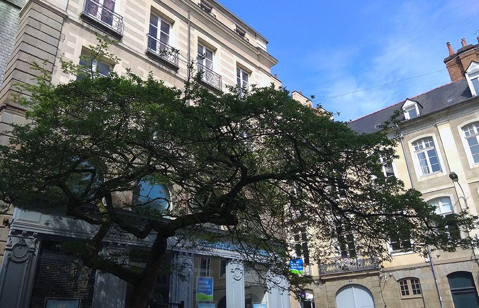 Place de Coëtquen - Rennes