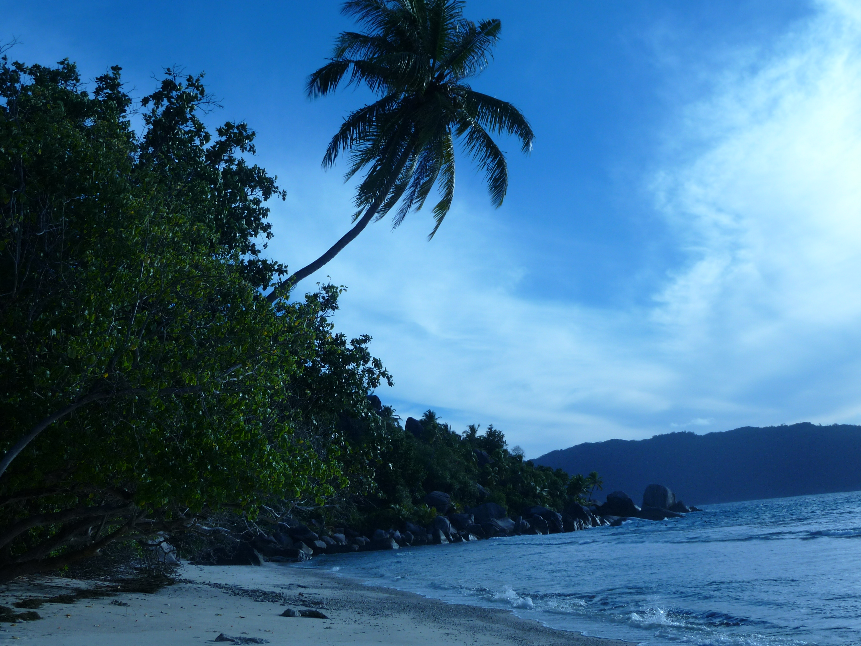 He! attendez je veux être sur la photo