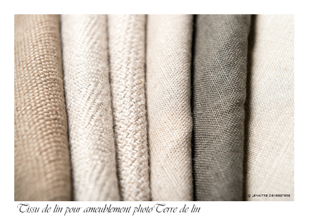 Annexe tissu lin2.jpg