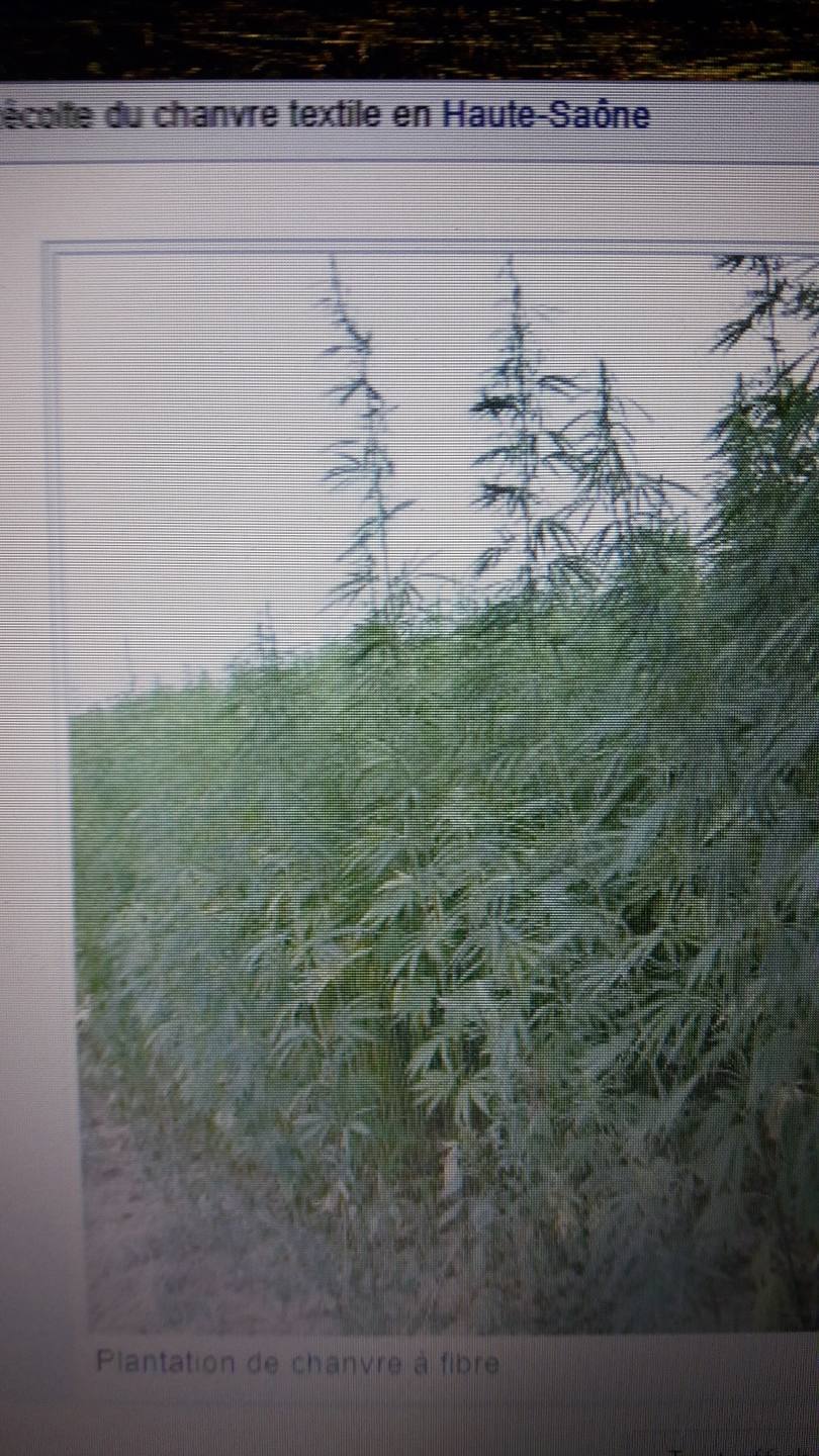 Annexe 20180411_085557_resized.jpg