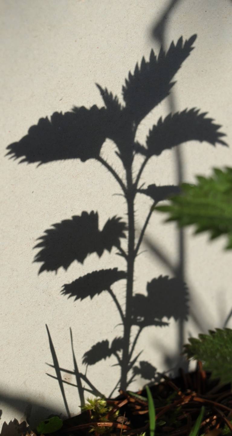 Annexe P4108497 r.jpg