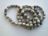 Annexe larme de Job 2.jpg