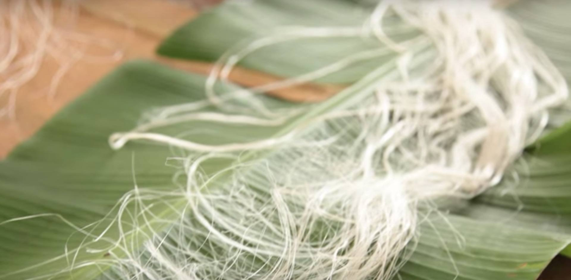 Annexe fibre du bananier.jpg