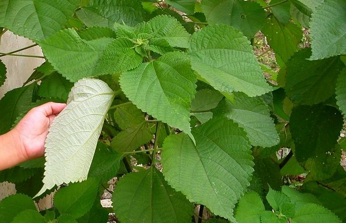 Annexe Capture d’écran 2018-04-12 à 19.37.41.png