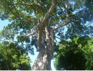 Annexe fromager 1.jpg