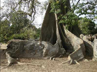 Annexe fromager 2.jpg