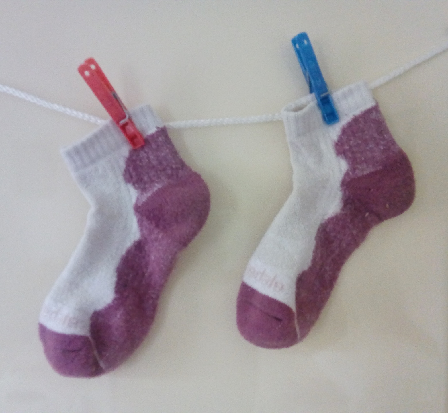 Annexe socks.jpg