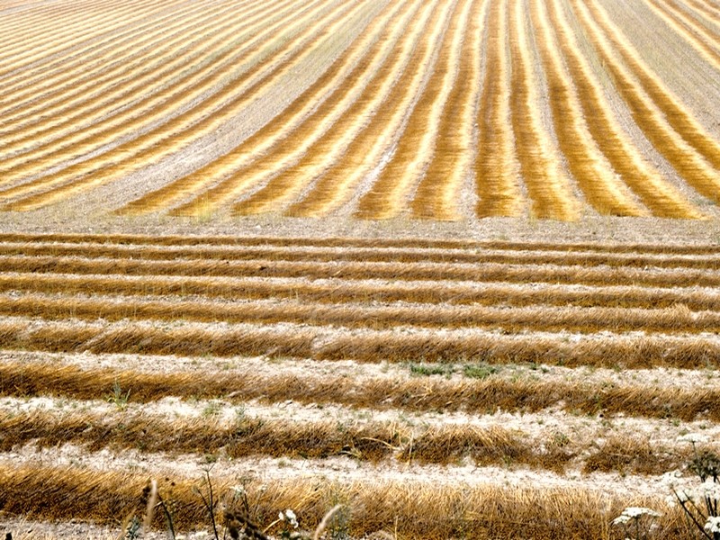 Annexe Rouissage-du-lin-Crédit-APAVR.jpg