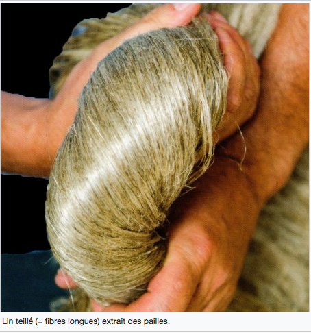 Annexe Lin teillé, Wikipédia.png