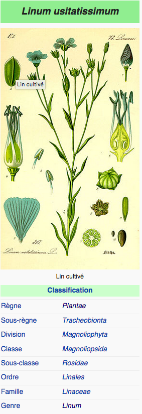 Annexe Wikipedia.png