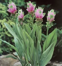 Annexe Capture d’écran 2018-04-14 à 17.59.20.png