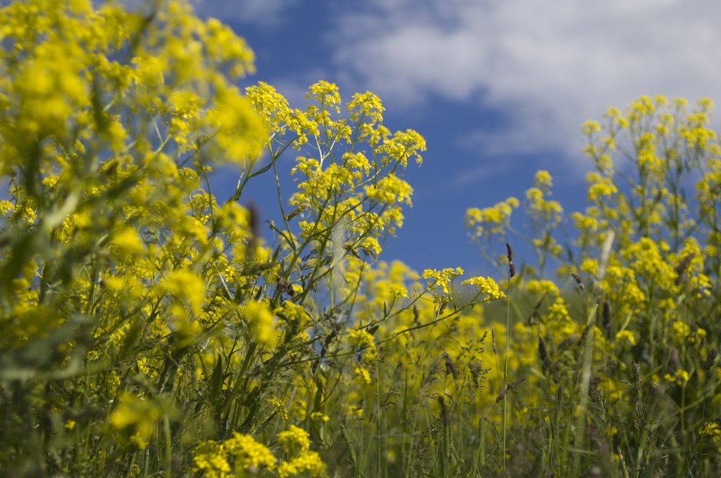 Annexe mainImage-source-11739164.jpg