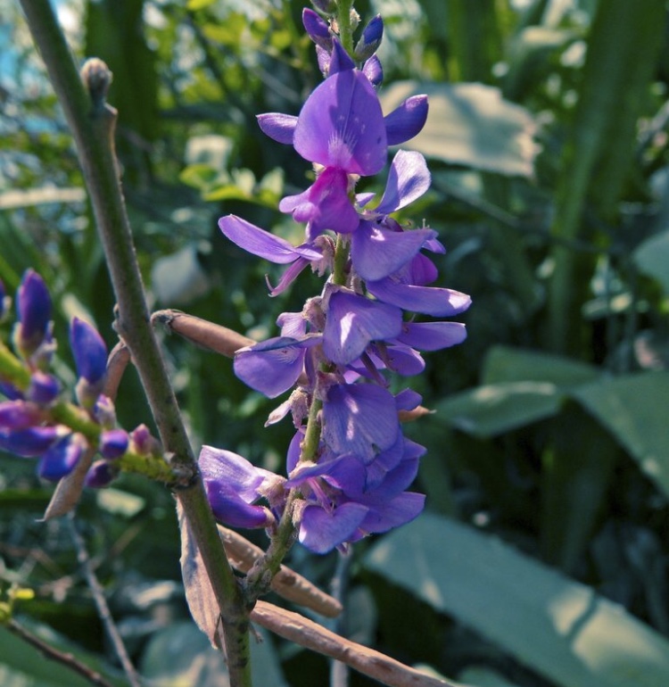 Annexe 85A3B576-CA1D-49DE-84E8-D21D75126897.jpeg