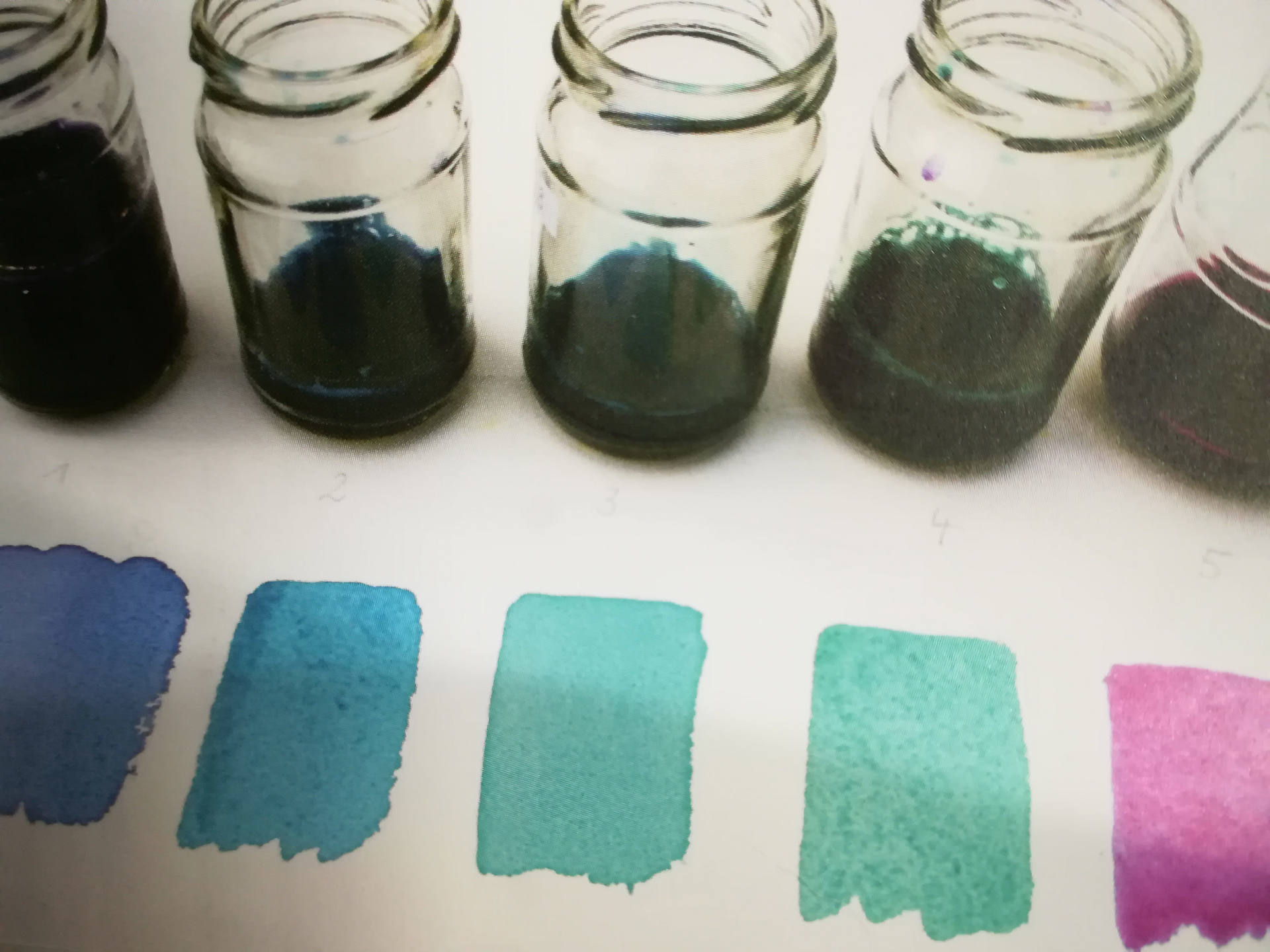 Annexe chou rouge.jpg