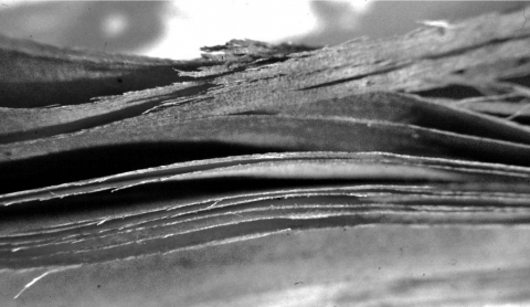 Annexe img-3-small480.jpg