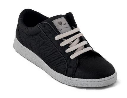 Annexe Chaussure ananas.JPG