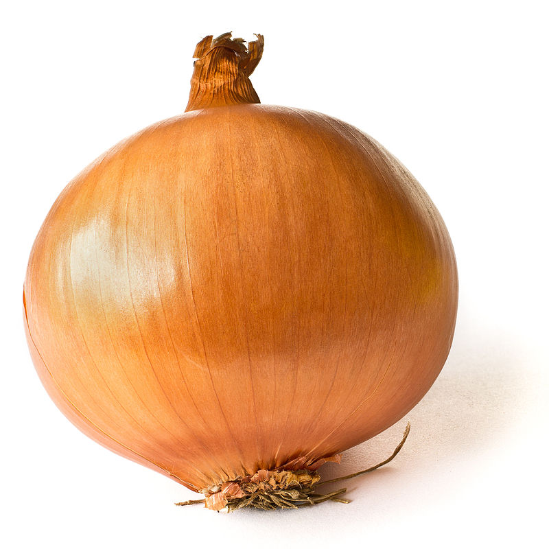 Annexe 800px-Onion_on_White.JPG