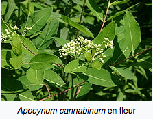 Annexe Capture d’écran 2018-04-22 à 20.14.49.png