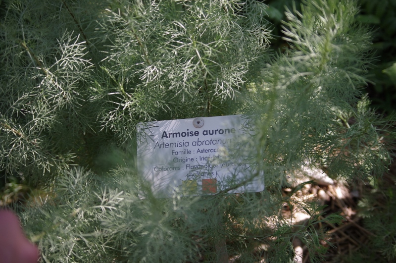 Annexe IMGP7233 (800x531).jpg