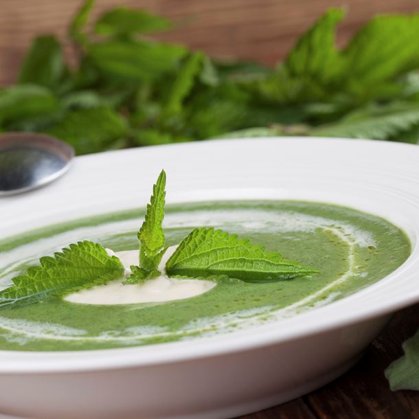 Annexe Soupe dortie.jpg