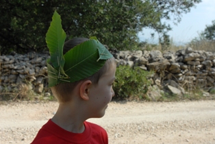 Annexe Bandeau dindien viking en feuilles de châtaignier.JPG