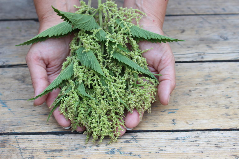 Annexe ORTIES-770x513.jpg