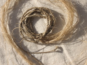 Tiges filées d'Ortie