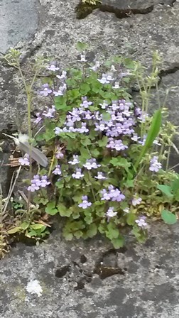 Annexe C2 19042018.jpg